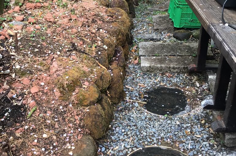 伊東市の除草作業