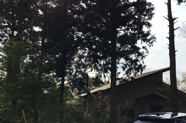 作業前の状態確認しました