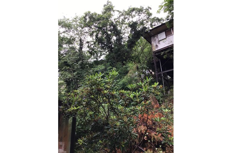 1C1EF27D-2AE8-41E4-B009-8F7B5D1F7F70