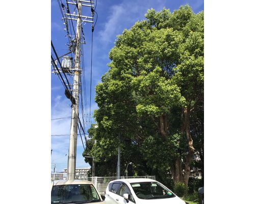 4B94C0FC-67FF-486C-86EC-7140B1E8BF81