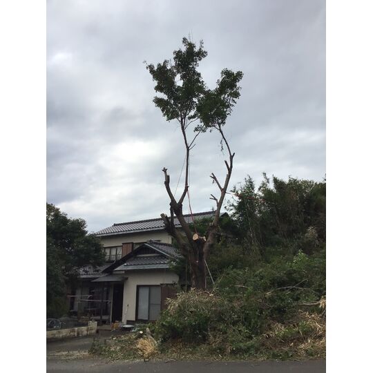37B2BC27-296F-47B6-AC30-12B4C57D1CA9