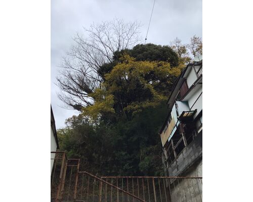 CFAC7EF0-9C01-4A4F-8871-8A0CA197F691