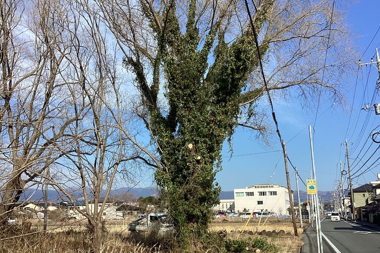 D90D30A0-AE74-447D-87D2-41C59ADF73D1