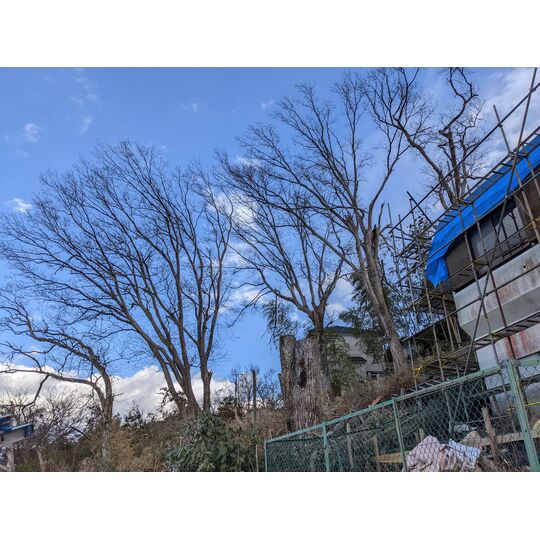 PXL_20220206_061546922