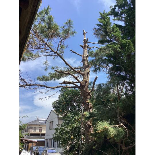 F255739F-D699-47D6-8722-4E8535E9B92F