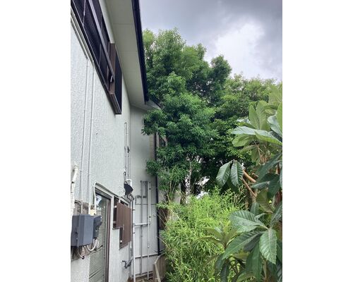 4494C809-8C57-437B-8CF8-E019DDEDB758
