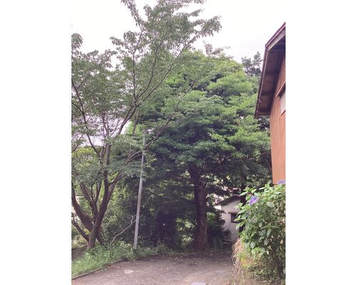 500B2879-1C74-48DF-9DA6-DE81A693DDAE