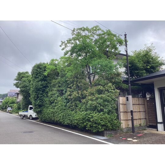7B872F27-573E-4DC8-B80F-61A47EB1D1AA