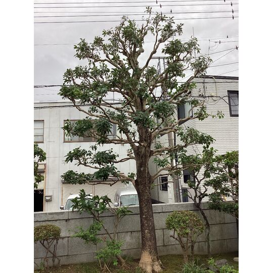 5B8B083F-75BF-47C8-A250-F21DEE1EC464