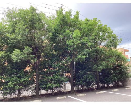 10F0DCAA-A8E5-4E5E-B2D4-8A64D91ECE3A