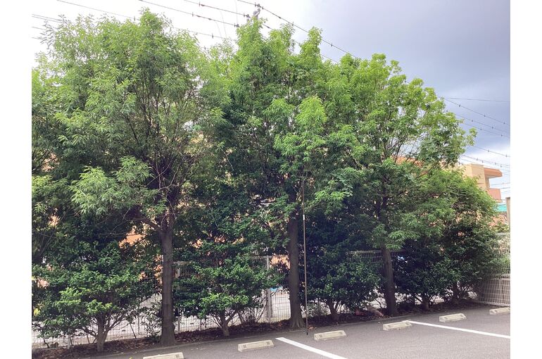 10F0DCAA-A8E5-4E5E-B2D4-8A64D91ECE3A