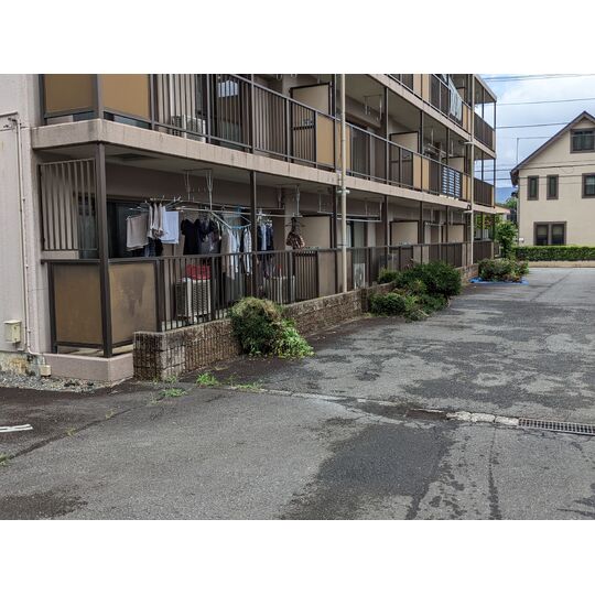 PXL_20220812_025215946