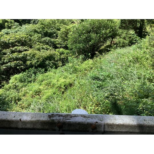 D4D65B4C-251E-4BC7-8695-169E626CC783