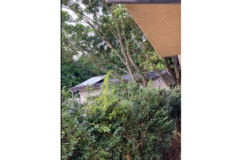 CEB1B327-315B-4171-80CD-D5A7E598F0D7