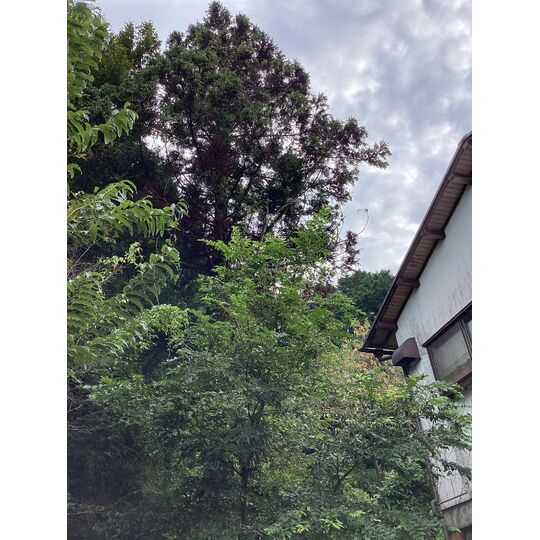 C890E525-82DA-442F-B0F3-D3963235FB67