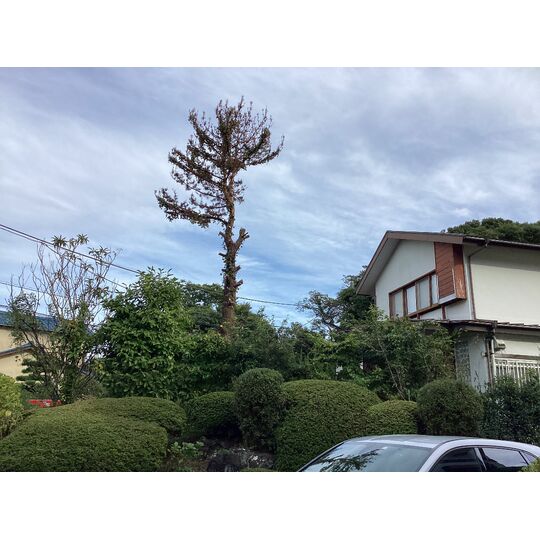 AF817CE8-3B75-4D6D-A1BD-482147DA2713