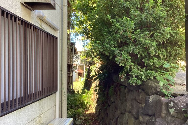 IMG_8529