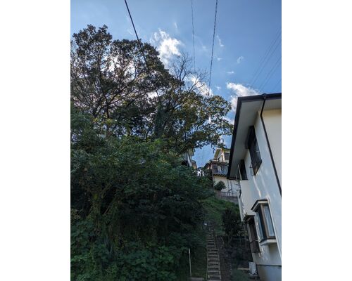 PXL_20231013_044156758