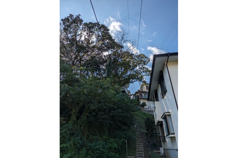 PXL_20231013_044156758