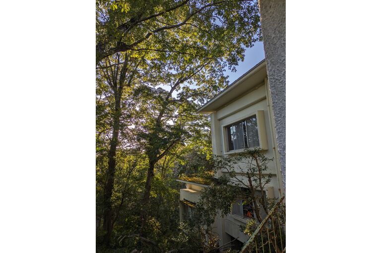 PXL_20231108_064554113