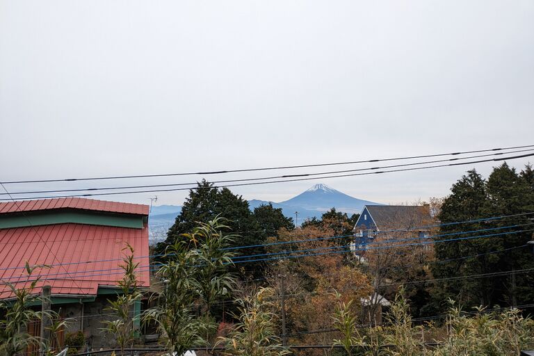 PXL_20231205_014441165