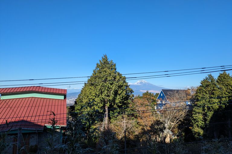PXL_20231203_235931842