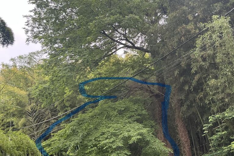 IMG_0606