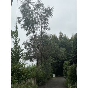 IMG_1886