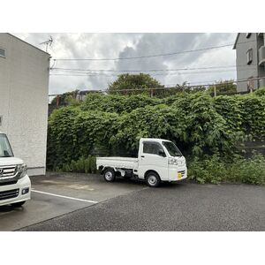 IMG_2012