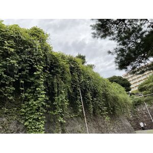 IMG_2009