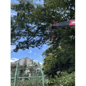 IMG_2265