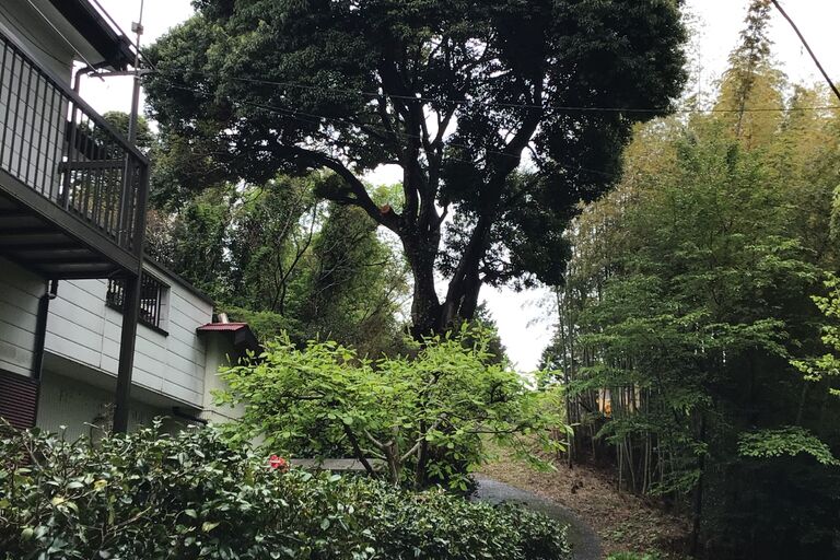 作業後の写真　