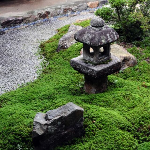 造園8