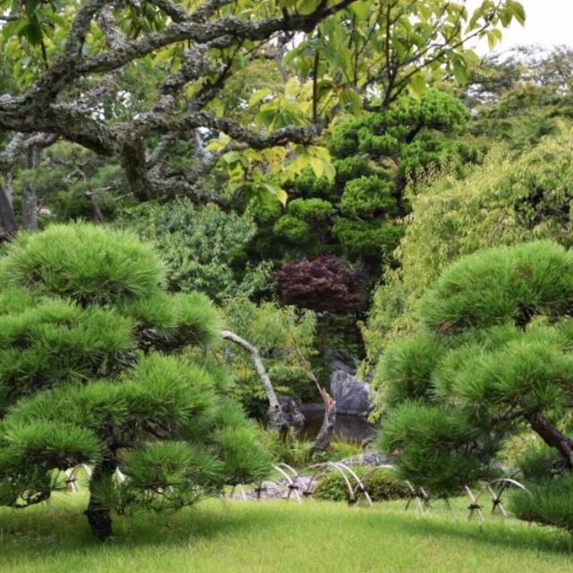 造園12